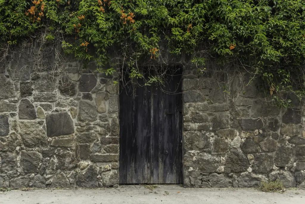 Alte Steinmauer mit einer Holztür