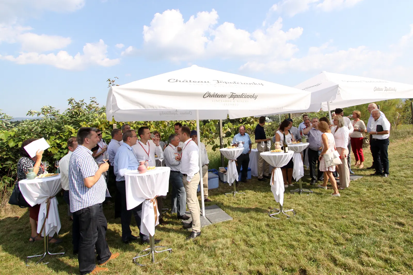 Gäste stehen bei einer Weinprobe unter Schirmen im Weinberg