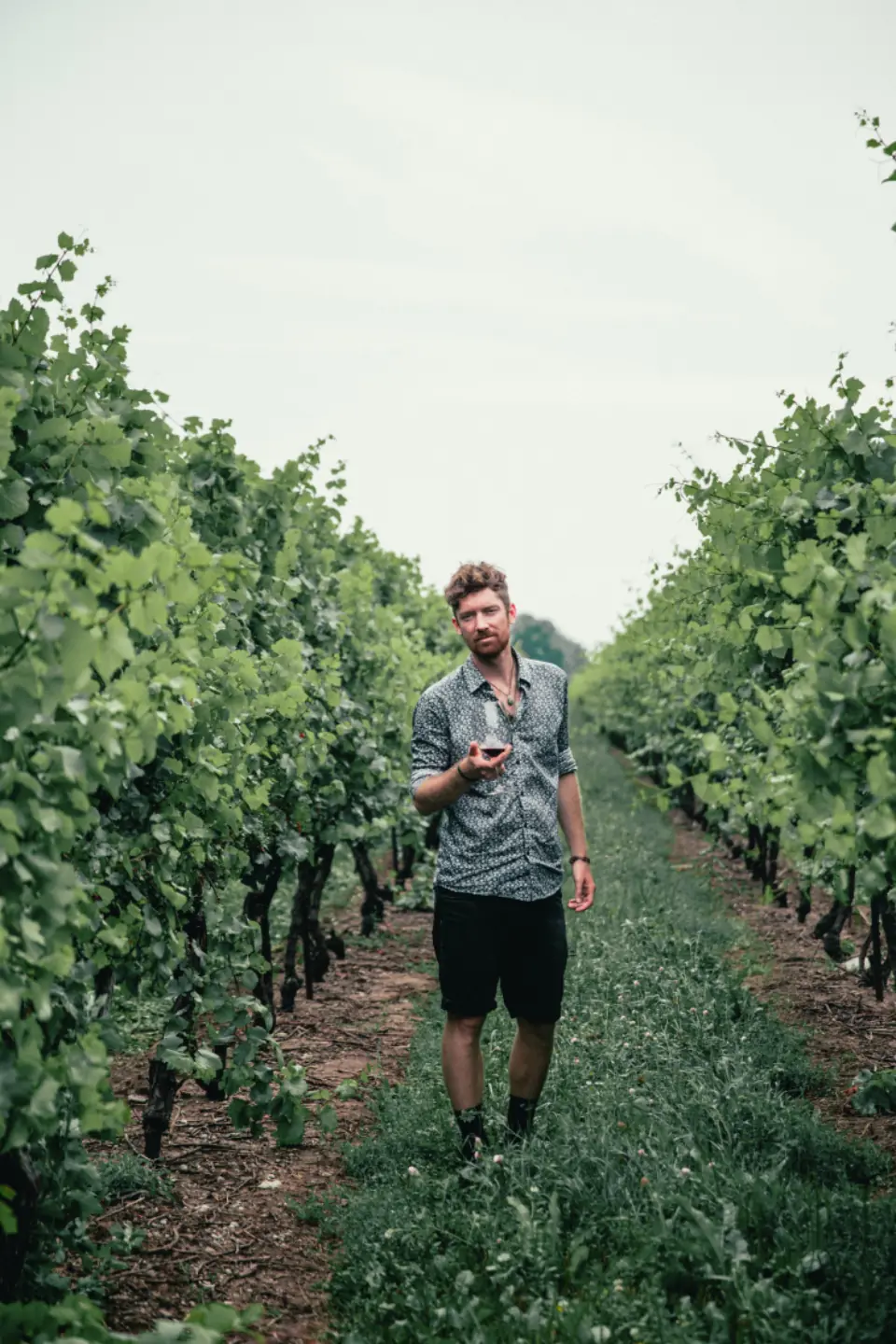Winzer steht zwischen den Rebzeilen und hält ein Glas Weißwein