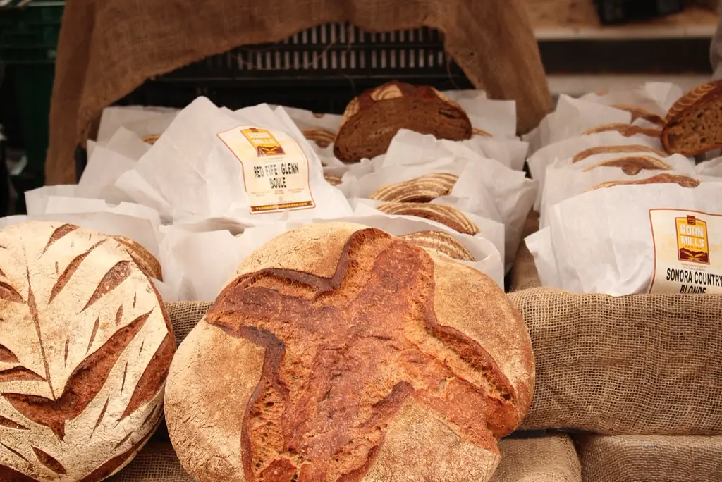 Frisch gebackene Brote mit eingeschnittener Kruste in der Auslage