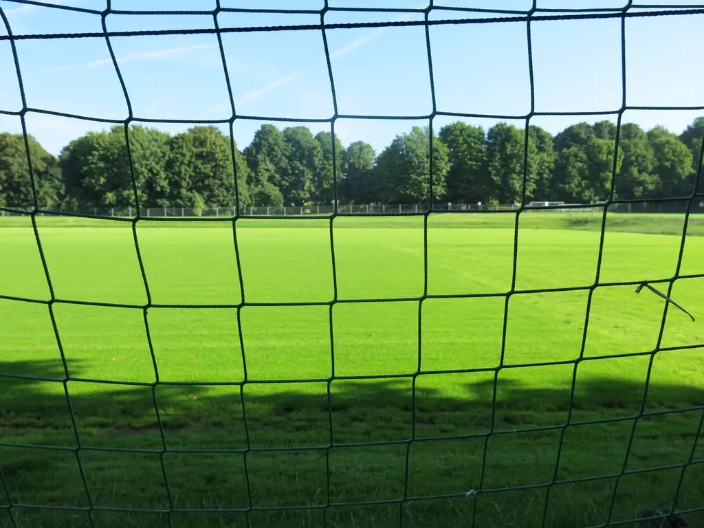 Blick durch das Tornetz auf den Sportplatz