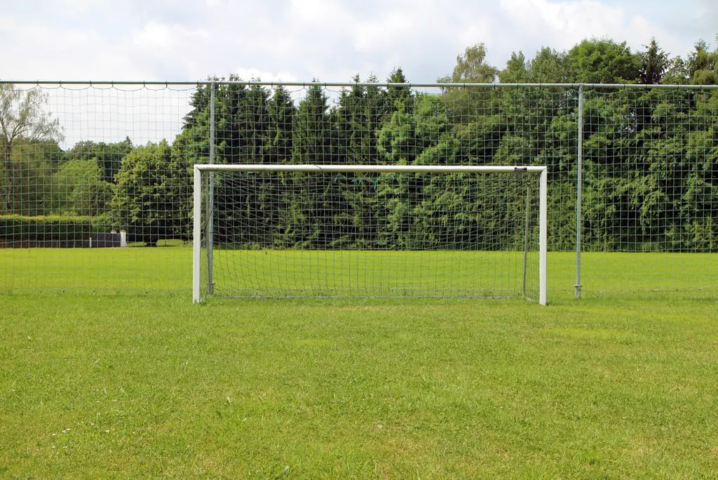 Fußballtor auf dem Sportplatz am Heidesandweg, dahinter Bäume