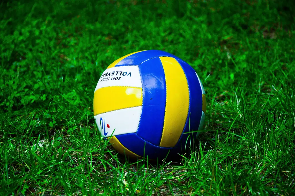 Ein blau-gelber Volleyball liegt im Gras